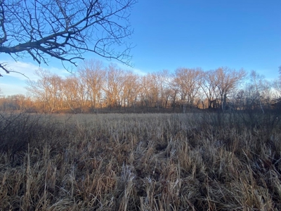 320 Acre Columbia County Farm Live Auction April 29th 2022 1 - image 11