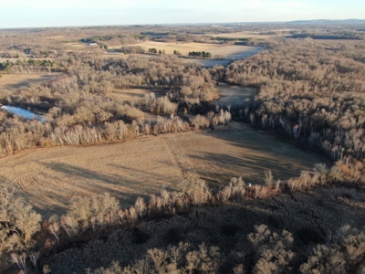 320 Acre Columbia County Farm Live Auction April 29th 2022 1 - image 5