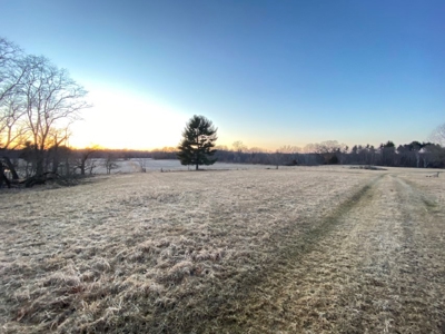 320 Acre Columbia County Farm Live Auction April 29th 2022 1 - image 7