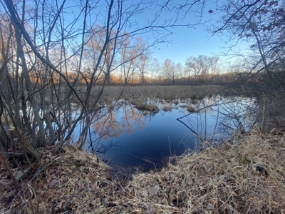 320 Acre Columbia County Farm Live Auction April 29th 2022 1 - image 42