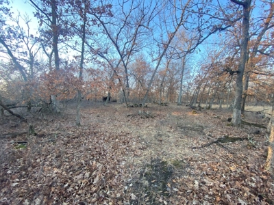320 Acre Columbia County Farm Live Auction April 29th 2022 1 - image 12