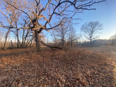 320 Acre Columbia County Farm Live Auction April 29th 2022 1 - image 40