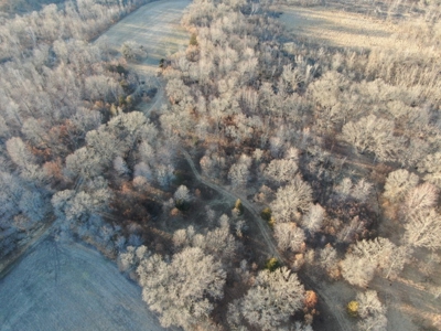 320 Acre Columbia County Farm Live Auction April 29th 2022 1 - image 34