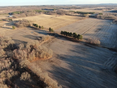 320 Acre Columbia County Farm Live Auction April 29th 2022 1 - image 35