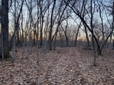 320 Acre Columbia County Farm Live Auction April 29th 2022 1 - image 18