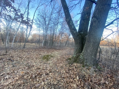 320 Acre Columbia County Farm Live Auction April 29th 2022 1 - image 44