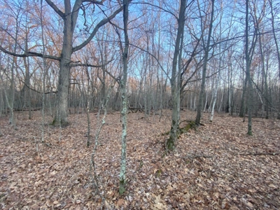 320 Acre Columbia County Farm Live Auction April 29th 2022 1 - image 20
