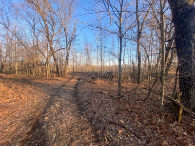 320 Acre Columbia County Farm Live Auction April 29th 2022 1 - image 39