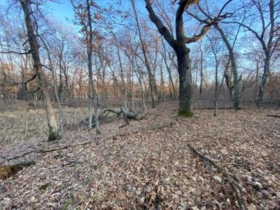 320 Acre Columbia County Farm Live Auction April 29th 2022 1 - image 16