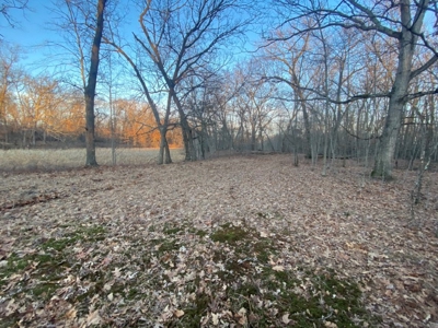 320 Acre Columbia County Farm Live Auction April 29th 2022 1 - image 19