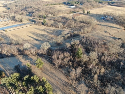 320 Acre Columbia County Farm Live Auction April 29th 2022 1 - image 4