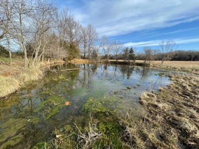 Tract 1 - 54 +/- Acres of pasture ground near Stockton Lake - image 7