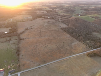 Tract 1 - 54 +/- Acres of pasture ground near Stockton Lake - image 1