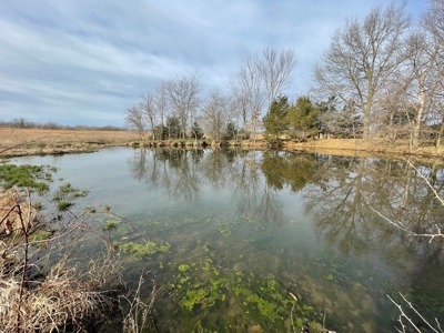 Tract 1 - 54 +/- Acres of pasture ground near Stockton Lake - image 9