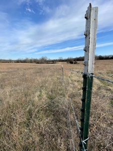 Tract 1 - 54 +/- Acres of pasture ground near Stockton Lake - image 6