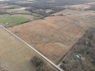 Tract 1 - 54 +/- Acres of pasture ground near Stockton Lake - image 4