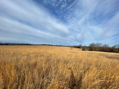 Tract 1 - 54 +/- Acres of pasture ground near Stockton Lake - image 8