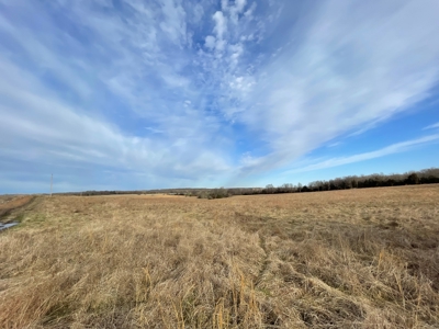 Tract 2 - 18 +/- Acres of Pasture Ground near Stockton Lake - image 8