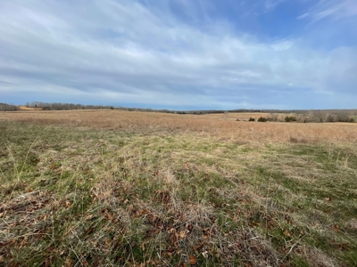 Tract 2 - 18 +/- Acres of Pasture Ground near Stockton Lake - image 5