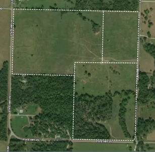 Tract 2 - 18 +/- Acres of Pasture Ground near Stockton Lake - image 3