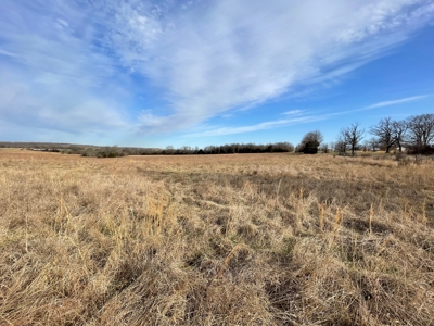 Tract 2 - 18 +/- Acres of Pasture Ground near Stockton Lake - image 7