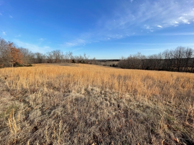 Tract 3 - 48 +/- Acre Recreational Ground near Stockton Lake - image 5