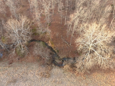 Tract 3 - 48 +/- Acre Recreational Ground near Stockton Lake - image 13