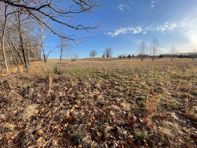 Tract 3 - 48 +/- Acre Recreational Ground near Stockton Lake - image 3