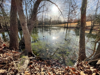 Tract 3 - 48 +/- Acre Recreational Ground near Stockton Lake - image 8