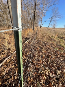 Tract 3 - 48 +/- Acre Recreational Ground near Stockton Lake - image 9