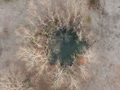 Tract 3 - 48 +/- Acre Recreational Ground near Stockton Lake - image 12