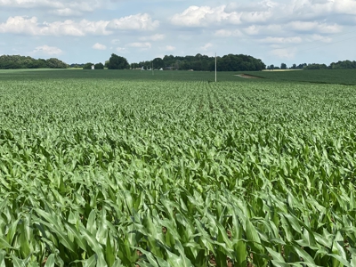 Productive Crop Land For Sale in Simpson County, KY. - image 11