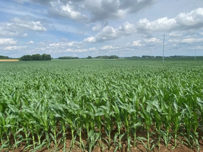 Productive Crop Land For Sale in Simpson County, KY. - image 9