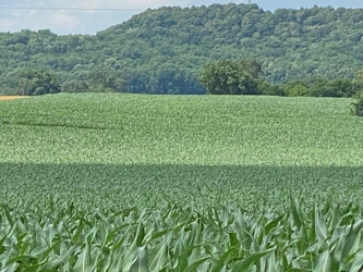 alt=