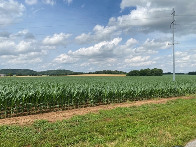 Productive Crop Land For Sale in Simpson County, KY. - image 16