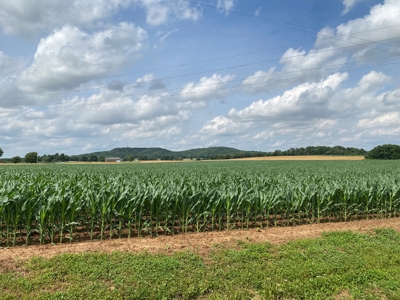 Productive Crop Land For Sale in Simpson County, KY. - image 14