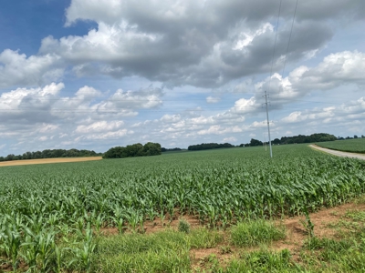 Productive Crop Land For Sale in Simpson County, KY. - image 13