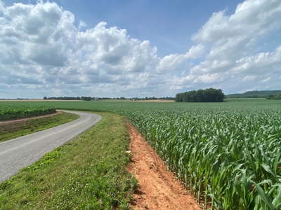 Productive Crop Land For Sale in Simpson County, KY. - image 4