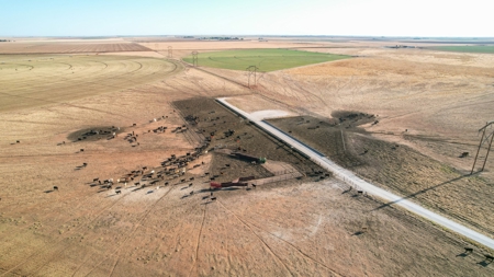 West Texas Multi-Parcel Auction - image 28