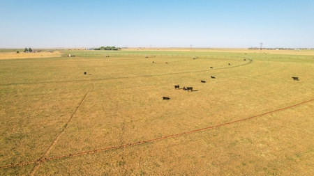 West Texas Multi-Parcel Auction - image 41