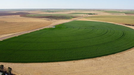 West Texas Multi-Parcel Auction - image 10