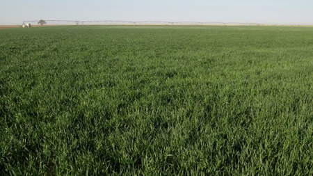 West Texas Multi-Parcel Auction - image 22