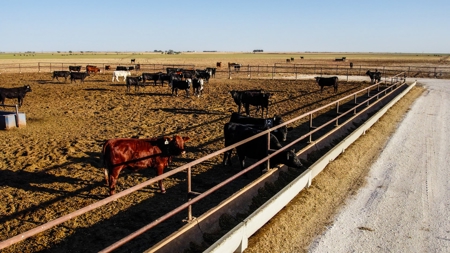 West Texas Multi-Parcel Auction - image 27
