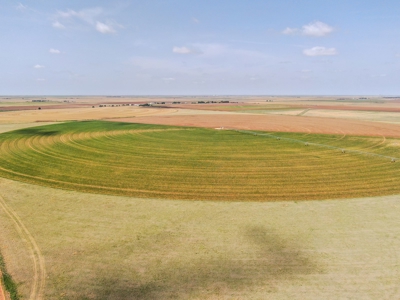 West Texas Multi-Parcel Auction - image 31