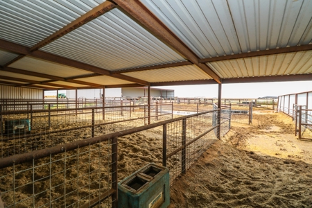 West Texas Multi-Parcel Auction - image 18