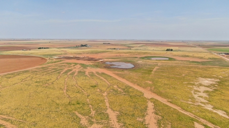 West Texas Multi-Parcel Auction - image 34