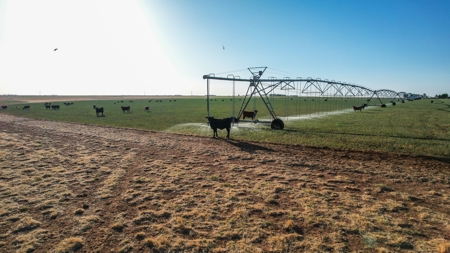 West Texas Multi-Parcel Auction - image 29