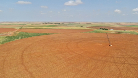 West Texas Multi-Parcel Auction - image 48