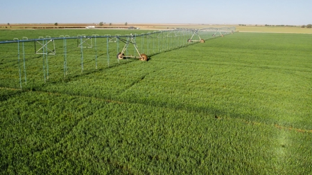 West Texas Multi-Parcel Auction - image 21