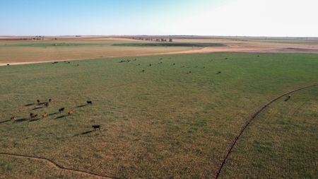 West Texas Multi-Parcel Auction - image 43
